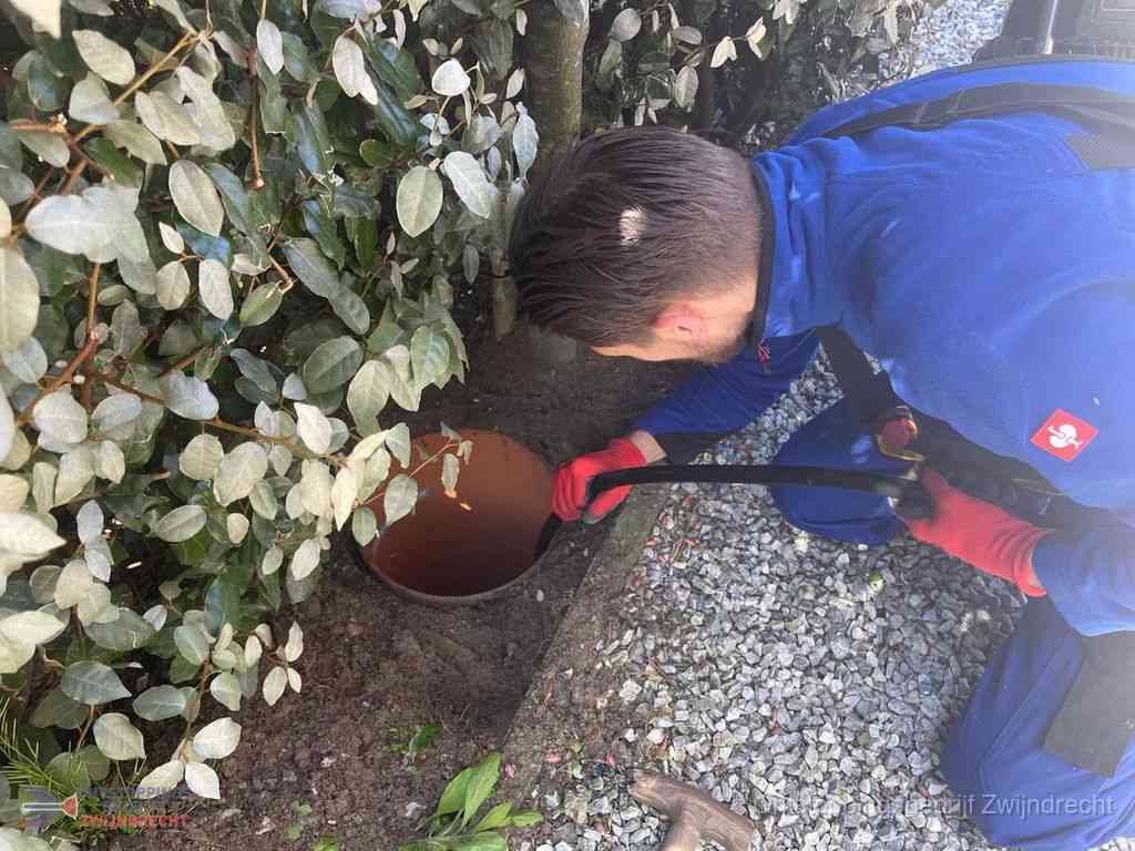 Rioolvliegjes Zwijndrecht